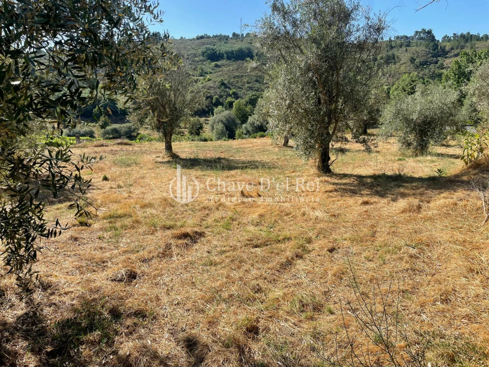 Terreno para Venda em Santar e Moreira Foto 17