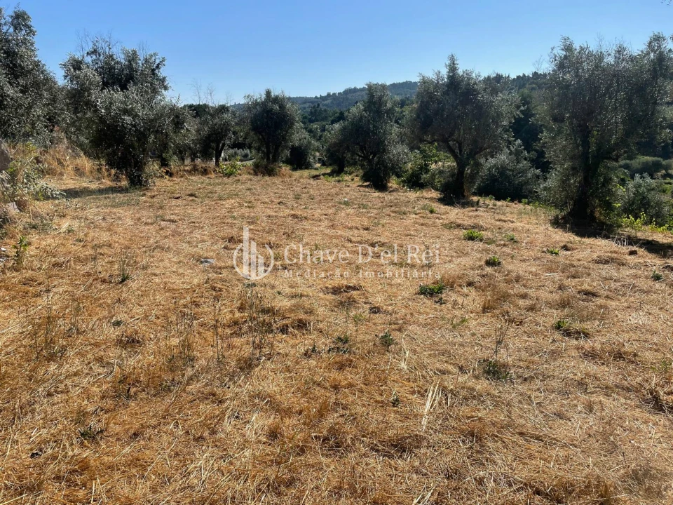 Terreno para Venda em Santar e Moreira Foto 4