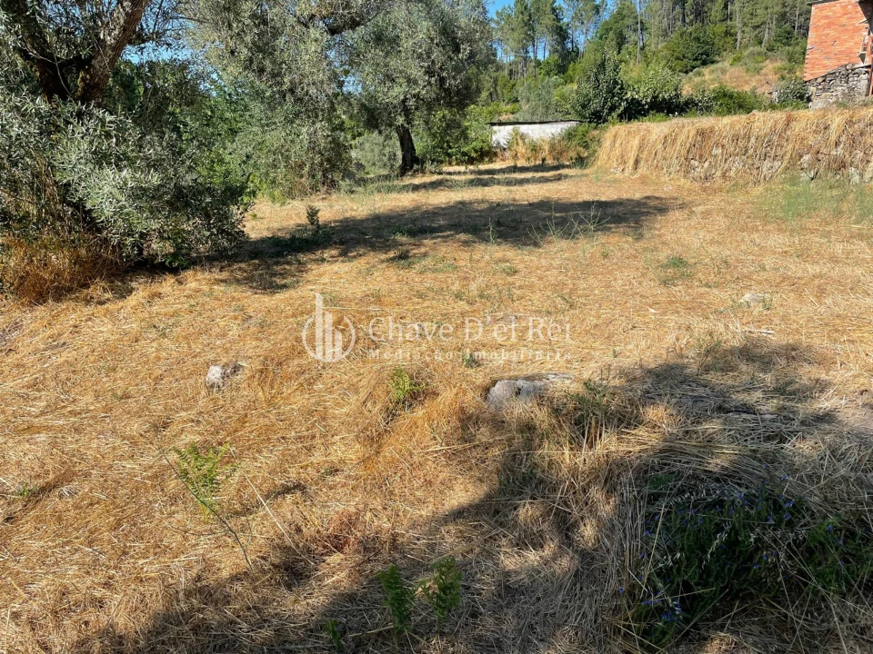 Terreno para Venda em Santar e Moreira Foto 9