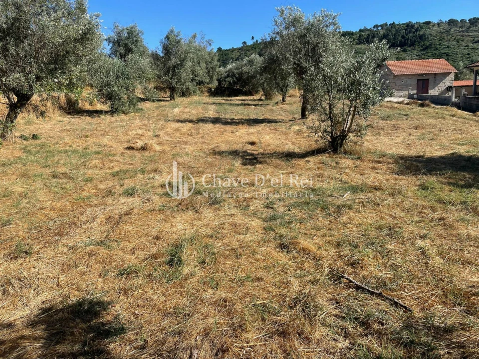 Terreno para Venda em Santar e Moreira Foto 11