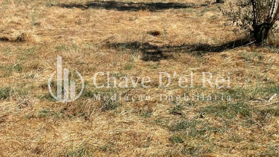 Terreno para Venda em Santar e Moreira