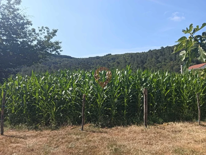 Moradia T0 para Venda em Abedim Foto 6