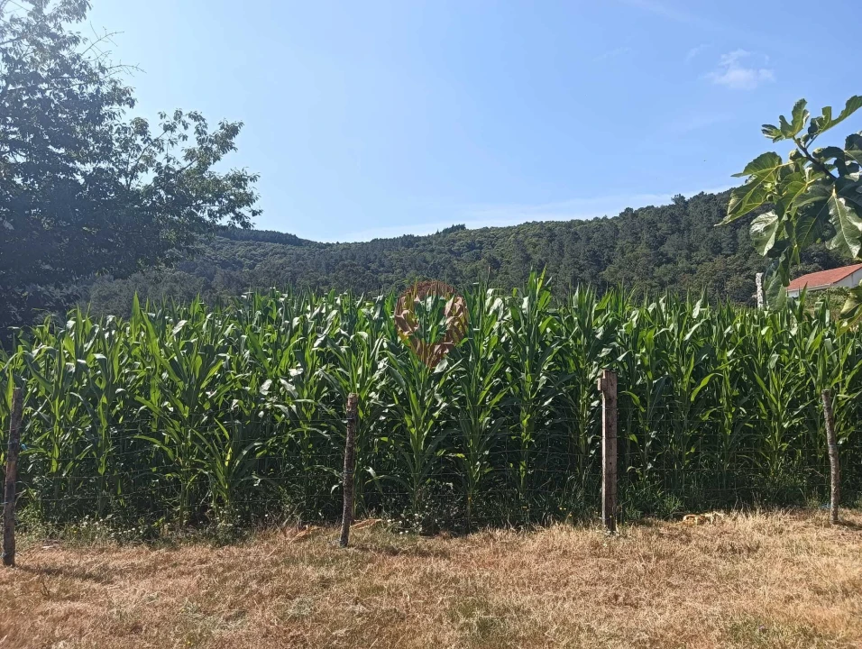 Moradia T0 para Venda em Abedim Foto 16