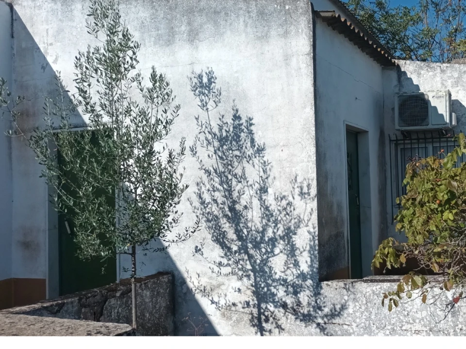 Terreno para Venda em Nossa Senhora da Conceição e São Bartolomeu Foto 9