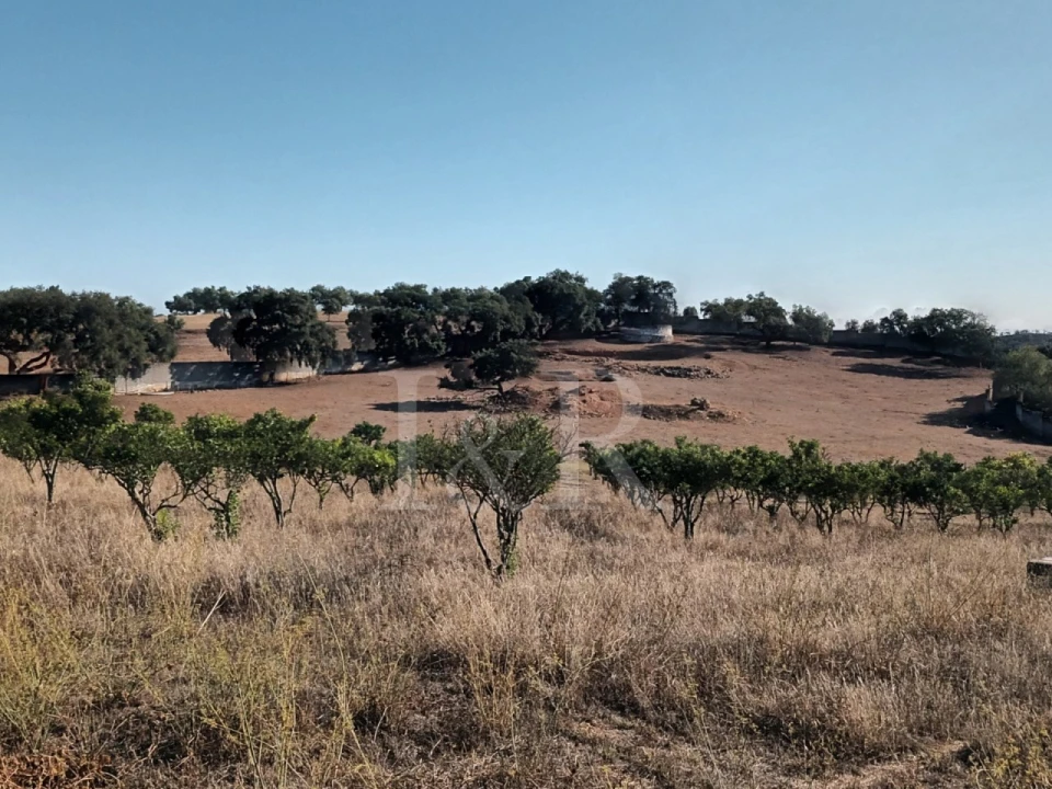 Terreno para Venda em Nossa Senhora da Conceição e São Bartolomeu Foto 11