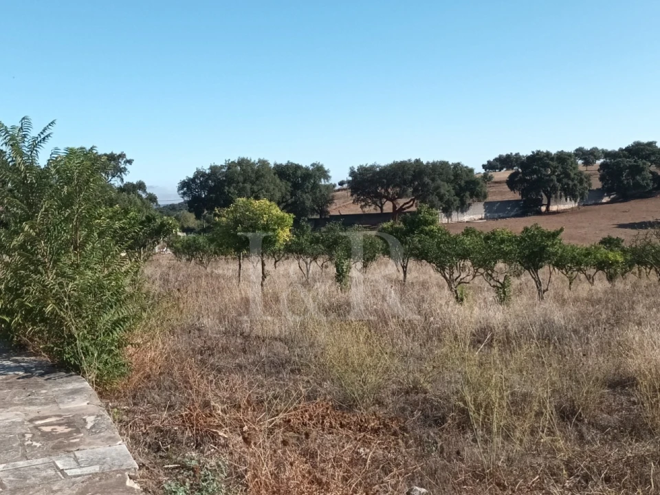 Terreno para Venda em Nossa Senhora da Conceição e São Bartolomeu Foto 15