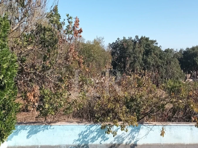 Terreno para Venda em Nossa Senhora da Conceição e São Bartolomeu Foto 2
