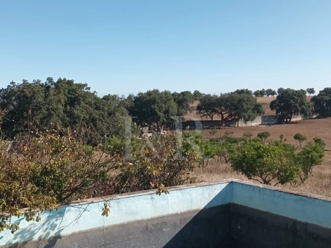 Terreno para Venda em Nossa Senhora da Conceição e São Bartolomeu Foto 3