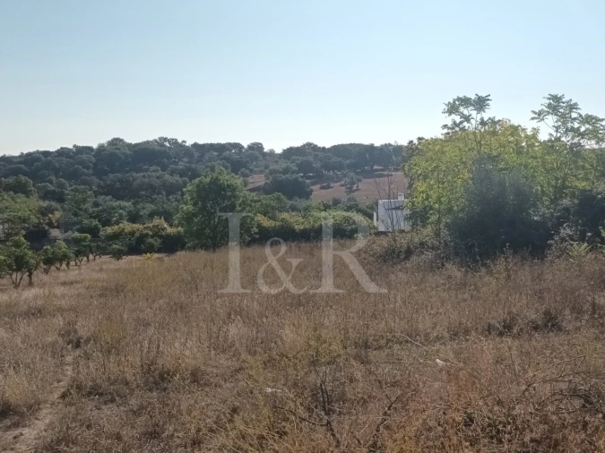 Terreno para Venda em Nossa Senhora da Conceição e São Bartolomeu Foto 10