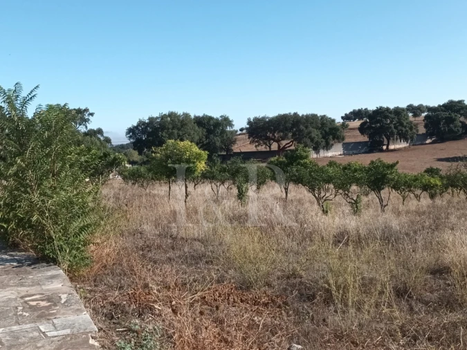 Terreno para Venda em Nossa Senhora da Conceição e São Bartolomeu Foto 15