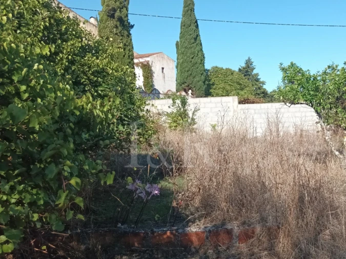 Terreno para Venda em Nossa Senhora da Conceição e São Bartolomeu Foto 22