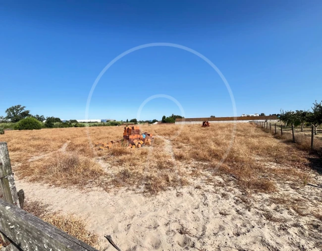 Terreno para Venda em Sarilhos Grandes Foto 5