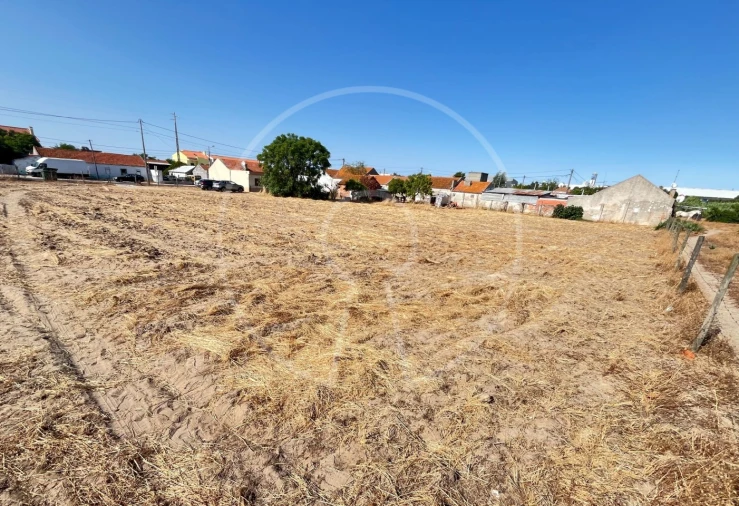Terreno para Venda em Sarilhos Grandes Foto 8