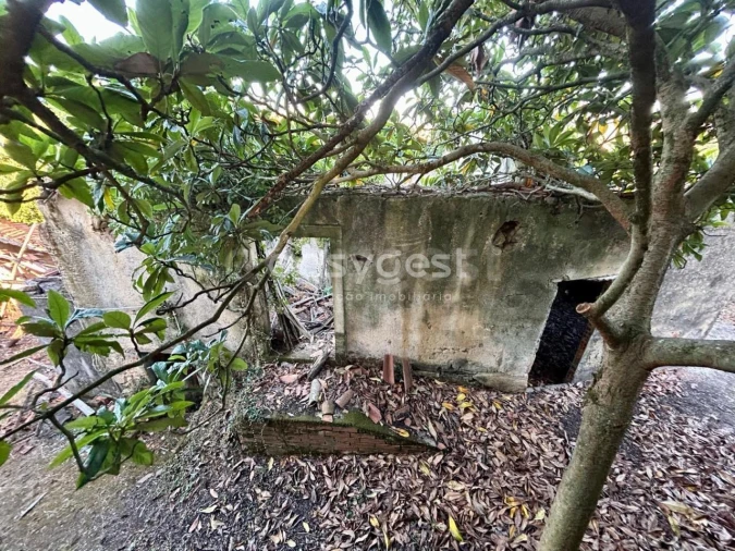 Moradia T2 para Venda em Chãos Foto 13