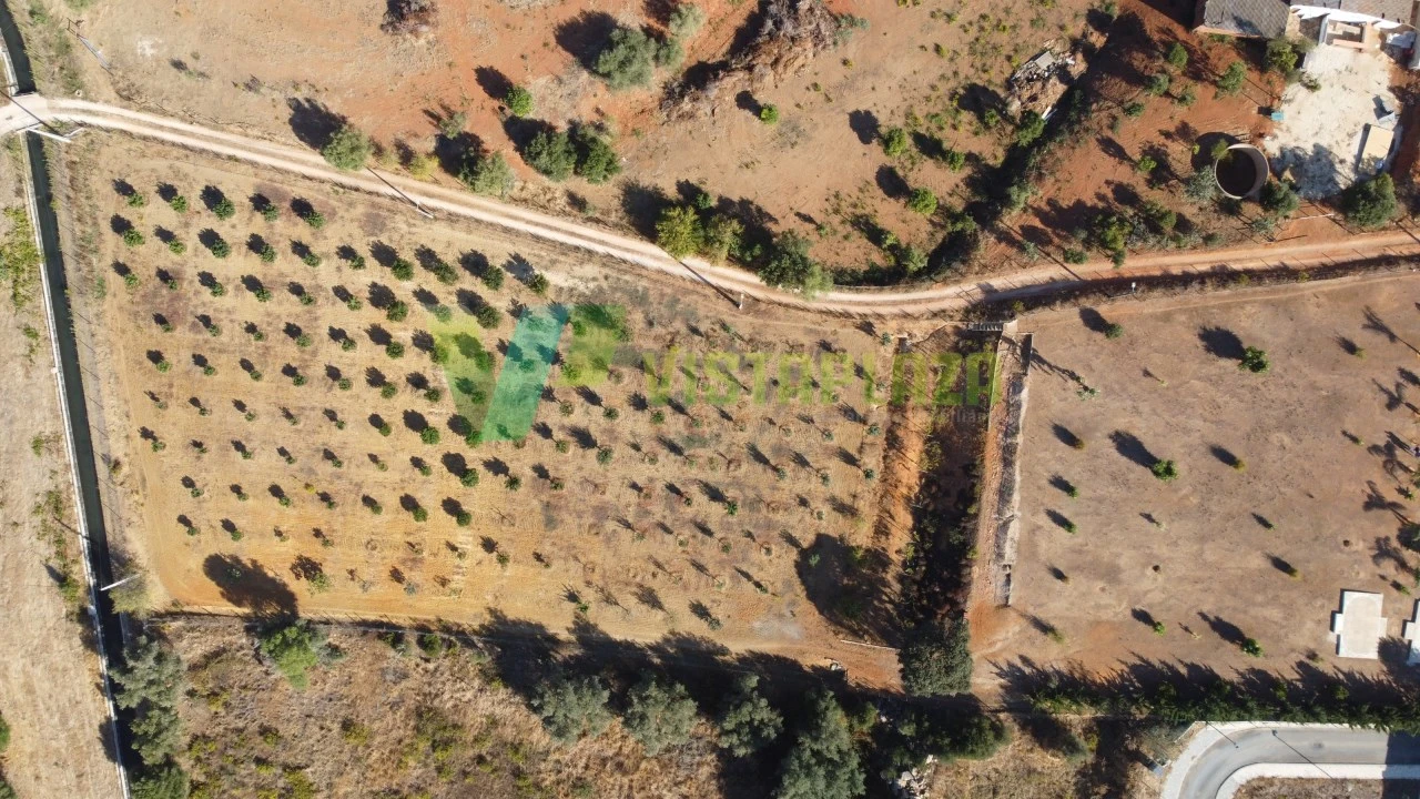 Terreno Misto para Venda em Odiaxere Foto 18