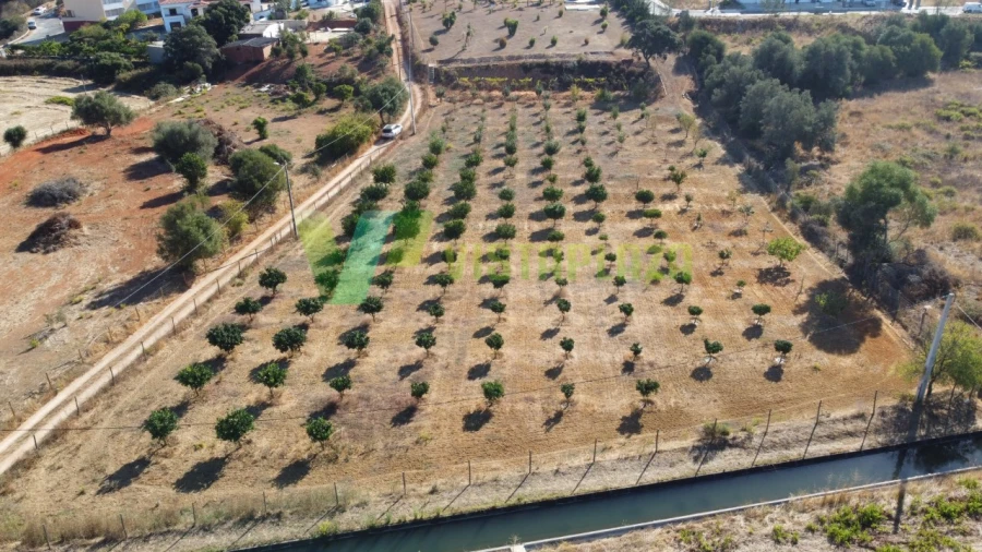 Terreno Misto para Venda em Odiaxere Foto 6