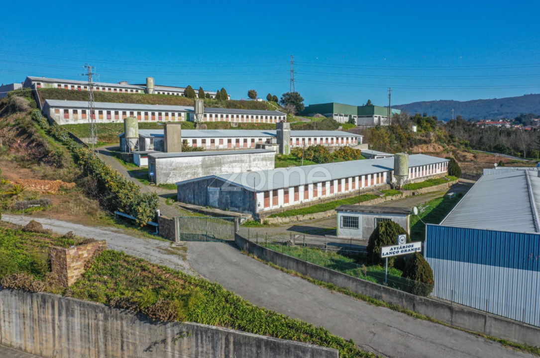Terreno Comércio / Armazém para Venda em Agrela Foto 4