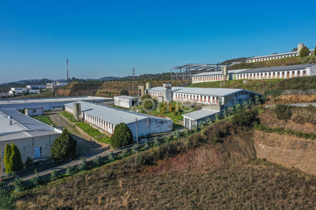 Terreno Comércio / Armazém para Venda em Agrela Foto 5
