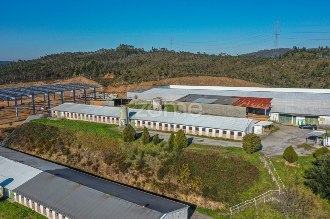 Terreno Comércio / Armazém para Venda em Agrela Foto 6
