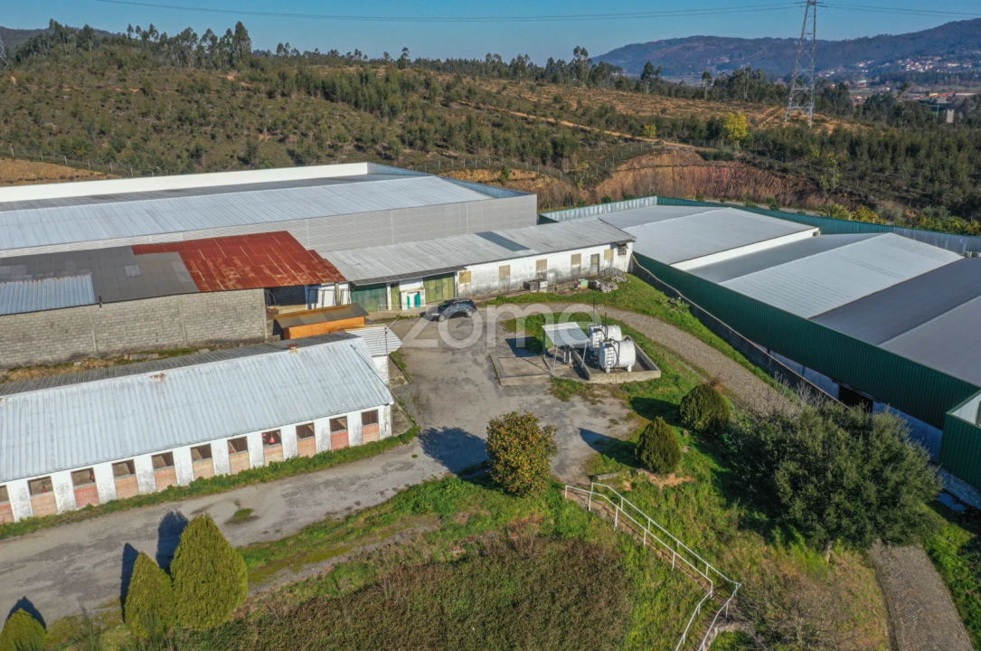 Terreno Comércio / Armazém para Venda em Agrela Foto 7