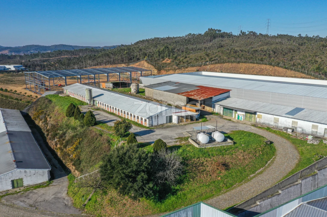 Terreno Comércio / Armazém para Venda em Agrela Foto 11