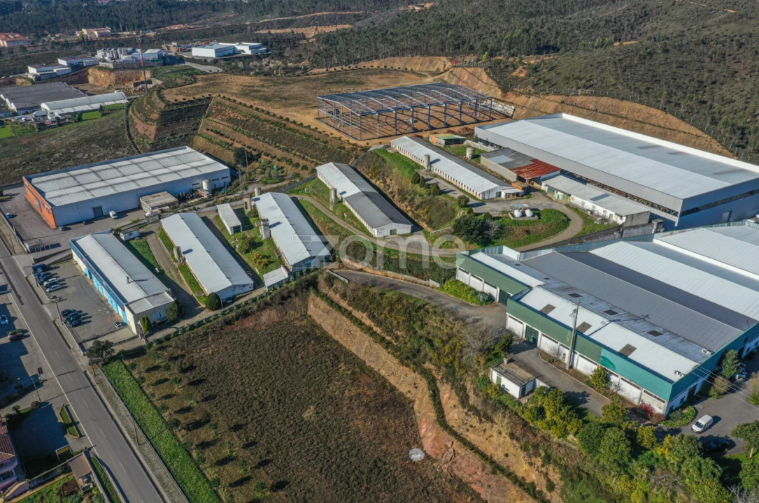 Terreno Comércio / Armazém para Venda em Agrela Foto 9