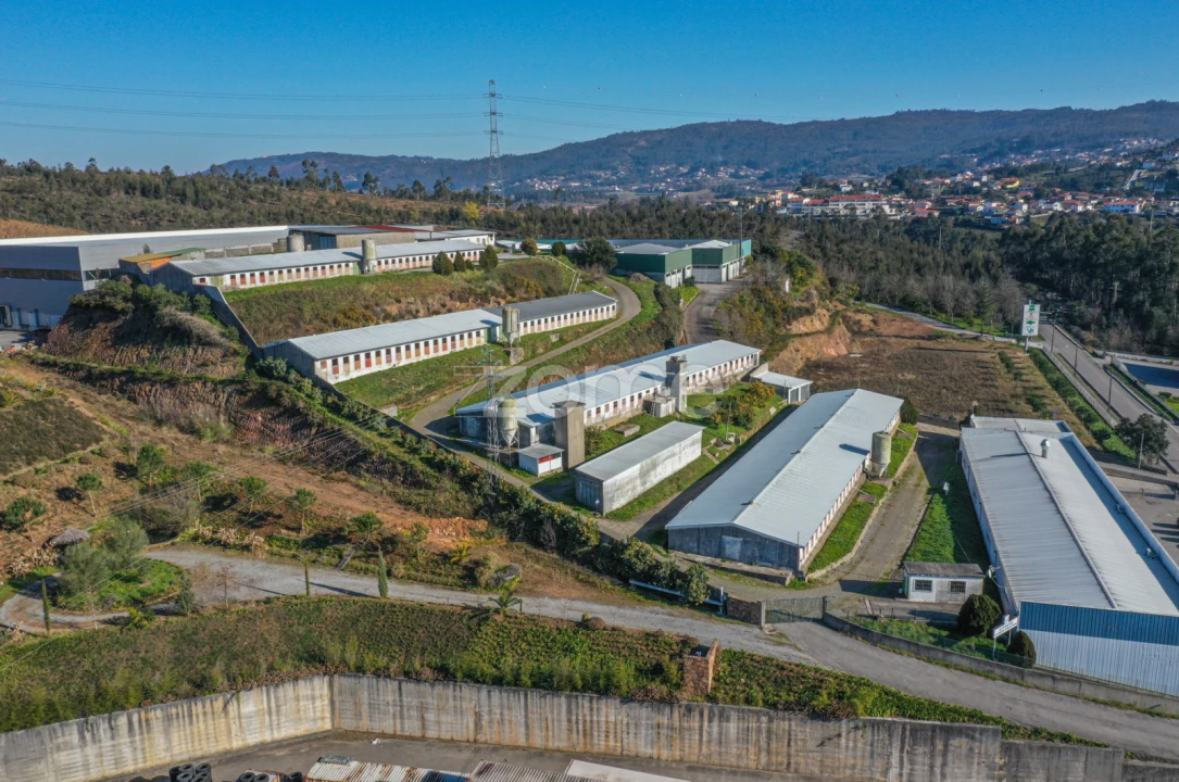 Terreno Comércio / Armazém para Venda em Agrela Foto 3