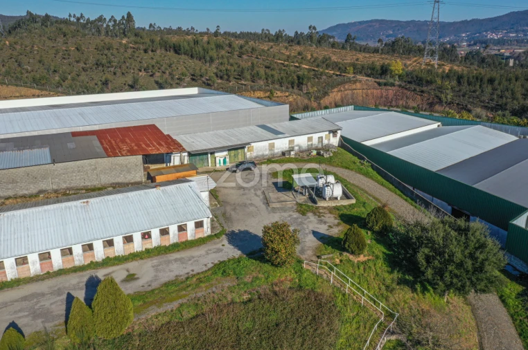 Terreno Comércio / Armazém para Venda em Agrela Foto 7