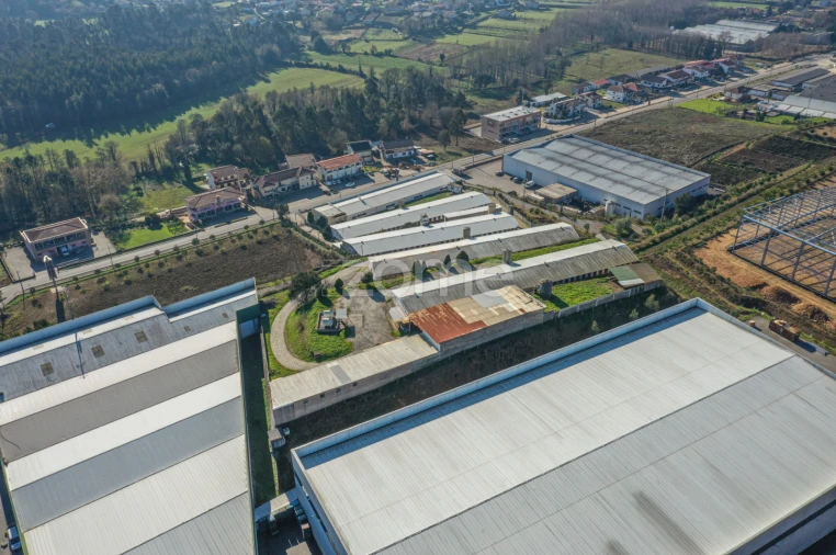 Terreno Comércio / Armazém para Venda em Agrela Foto 8