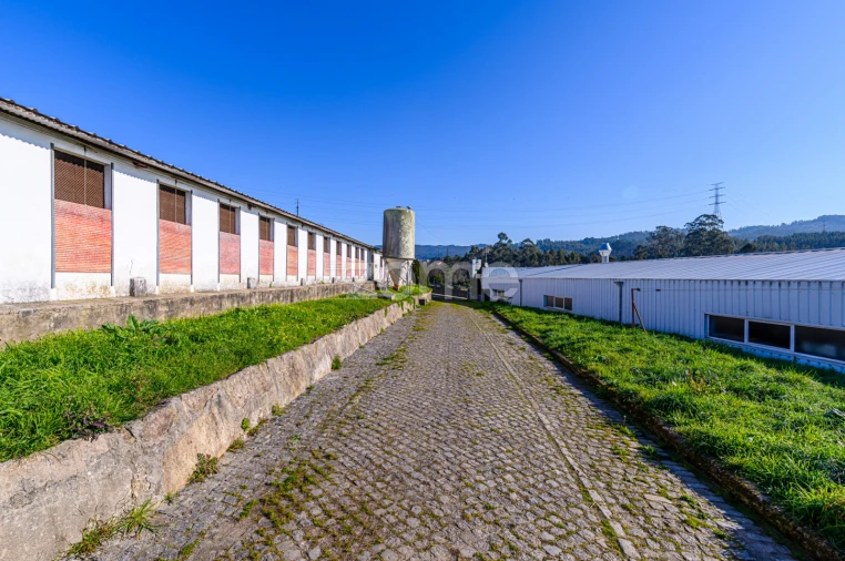 Terreno Comércio / Armazém para Venda em Agrela Foto 15