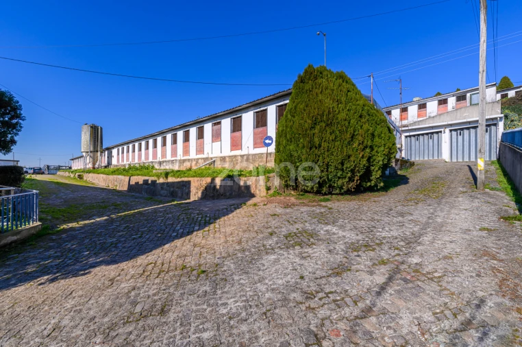 Terreno Comércio / Armazém para Venda em Agrela Foto 16