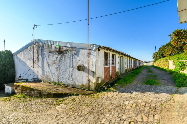 Terreno Comércio / Armazém para Venda em Agrela Foto 19