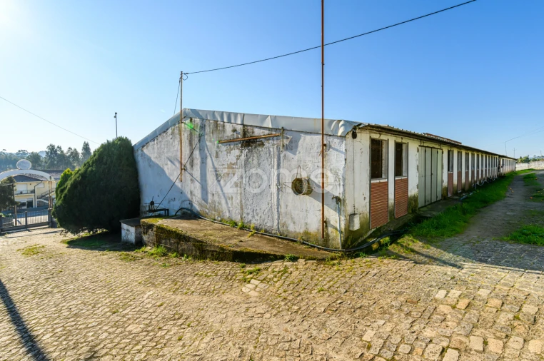 Terreno Comércio / Armazém para Venda em Agrela Foto 20