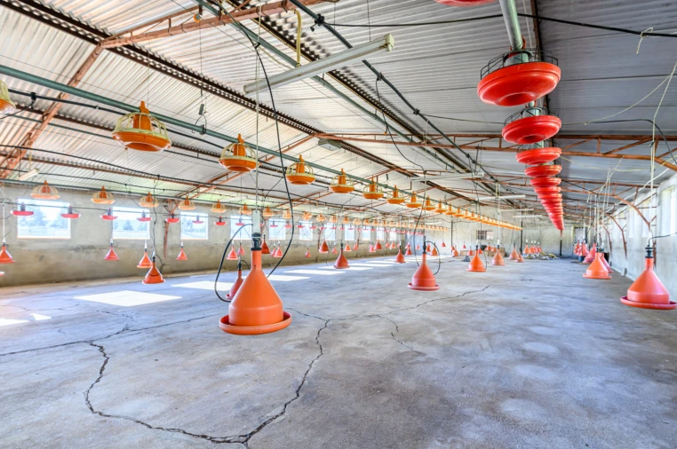 Terreno Comércio / Armazém para Venda em Agrela Foto 22