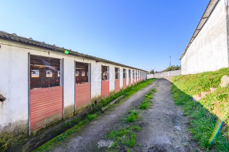 Terreno Comércio / Armazém para Venda em Agrela Foto 23