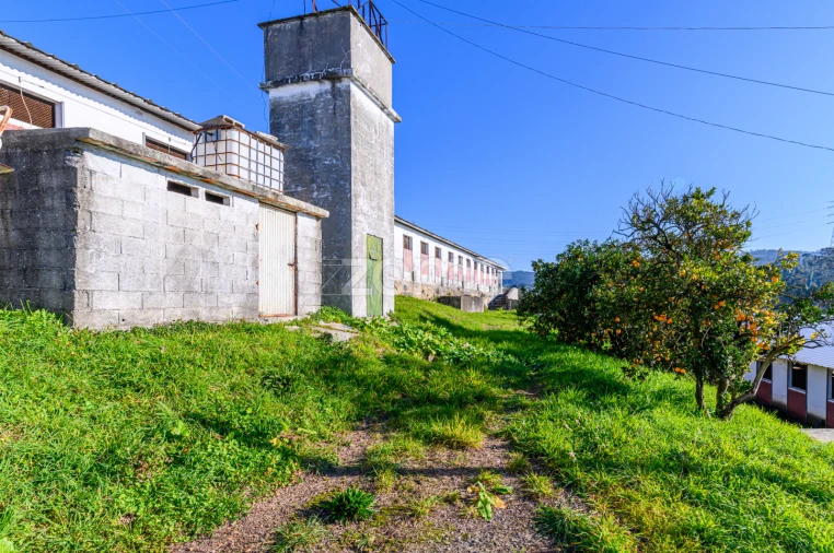 Terreno Comércio / Armazém para Venda em Agrela Foto 24