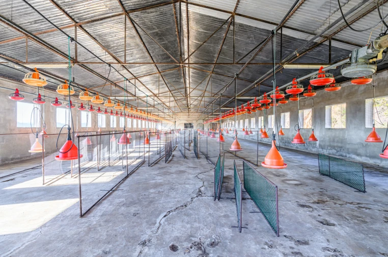 Terreno Comércio / Armazém para Venda em Agrela Foto 29