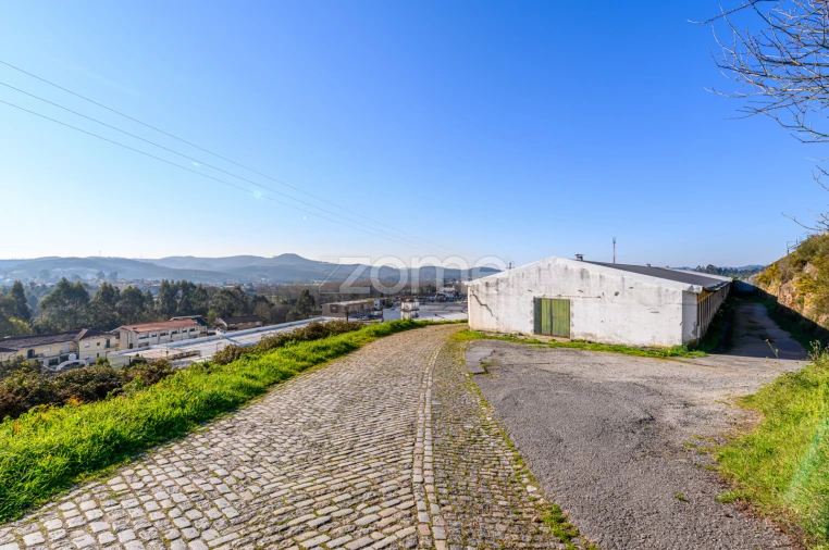 Terreno Comércio / Armazém para Venda em Agrela Foto 30