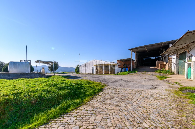 Terreno Comércio / Armazém para Venda em Agrela Foto 31