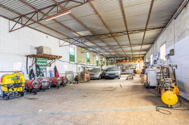 Terreno Comércio / Armazém para Venda em Agrela Foto 34