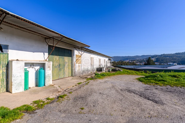 Terreno Comércio / Armazém para Venda em Agrela Foto 33
