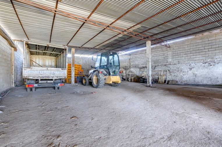 Terreno Comércio / Armazém para Venda em Agrela Foto 35