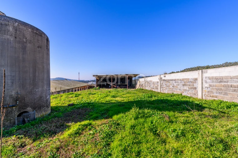 Terreno Comércio / Armazém para Venda em Agrela Foto 36