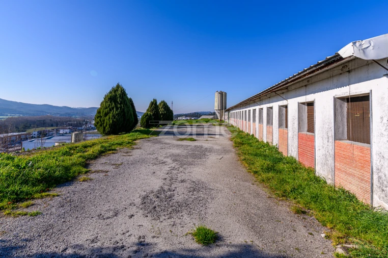 Terreno Comércio / Armazém para Venda em Agrela Foto 37