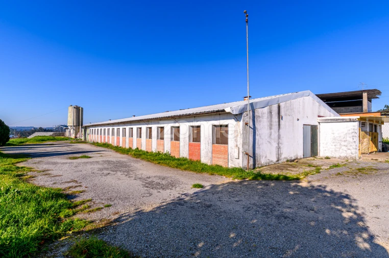 Terreno Comércio / Armazém para Venda em Agrela Foto 38