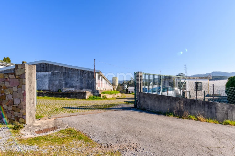 Terreno Comércio / Armazém para Venda em Agrela Foto 39