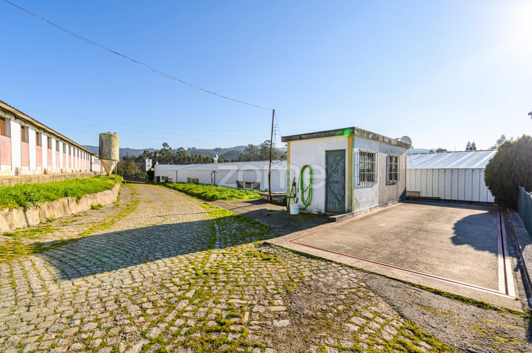 Terreno Comércio / Armazém para Venda em Agrela Foto 18