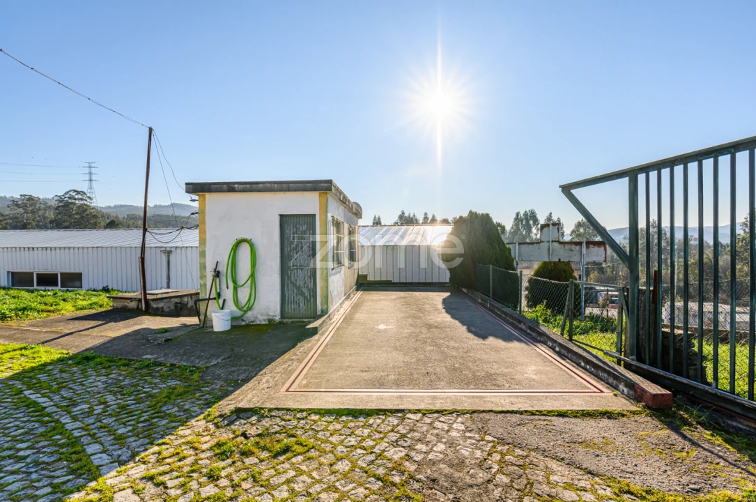 Terreno Comércio / Armazém para Venda em Agrela Foto 12