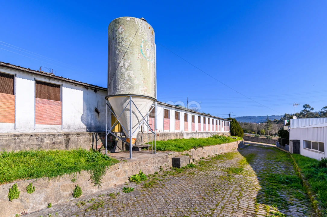 Terreno Comércio / Armazém para Venda em Agrela Foto 17