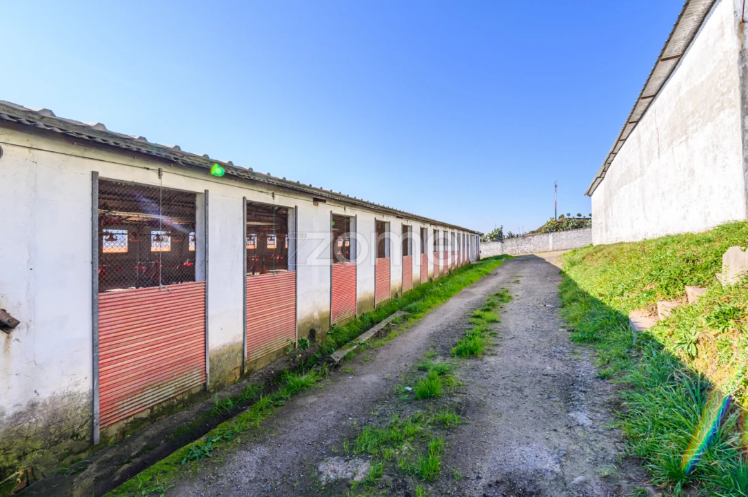 Terreno Comércio / Armazém para Venda em Agrela Foto 23